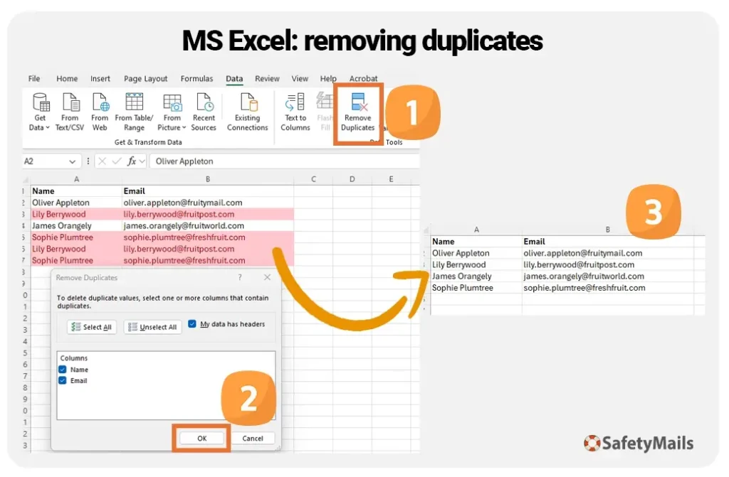 Remover Duplicatas Excel